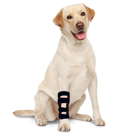 Tashi Tashi Red Light Therapy Leg Wrap for Dogs