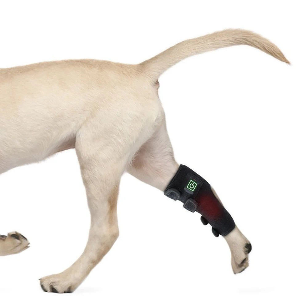 Infrared Red Light Therapy Leg Wrap for Dogs