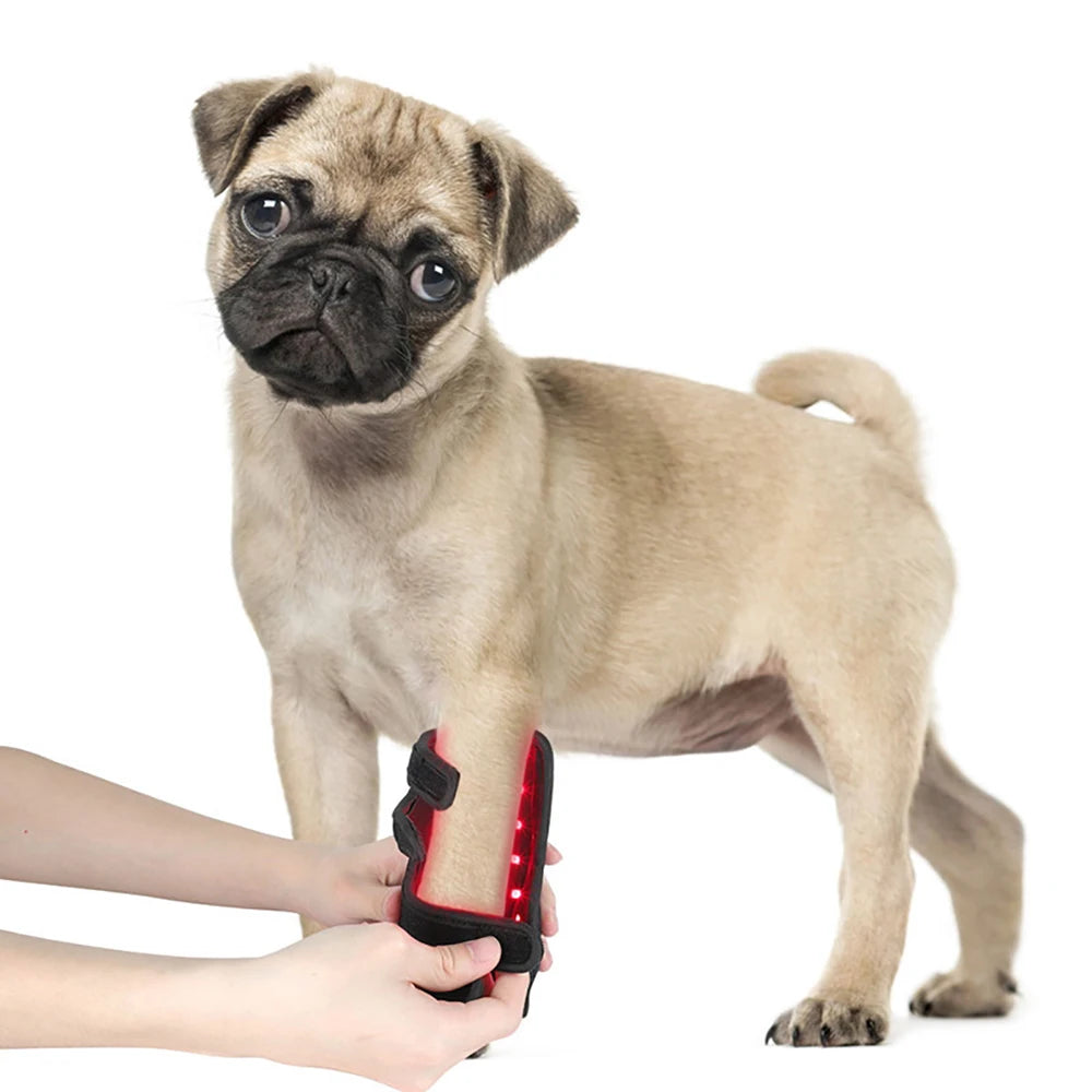 Infrared Red Light Therapy Leg Wrap for Dogs