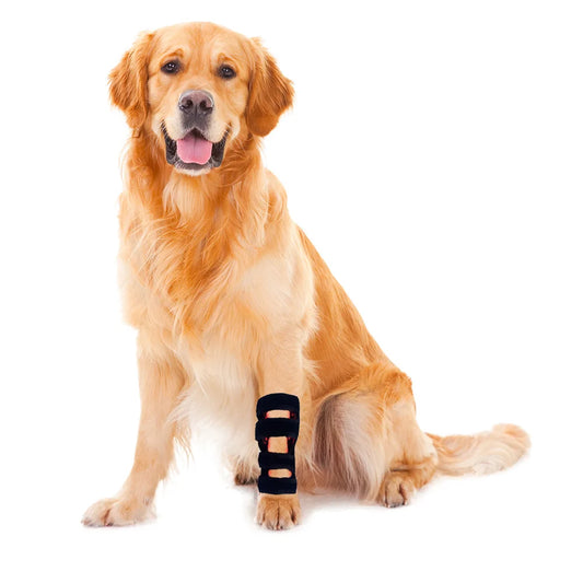 Tashi Tashi Red Light Therapy Leg Wrap for Dogs